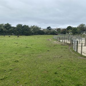 African Savannah 070920