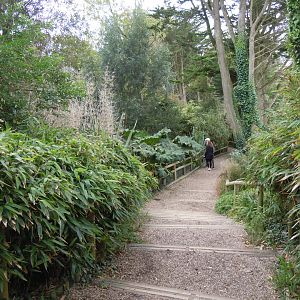 Walkway between African Savannah and Marmoset Islands 070920