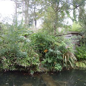 Marmoset Island 070920