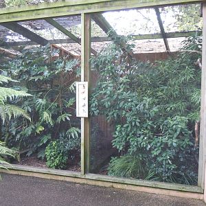 Aviary within Gems of the Jungle 070920