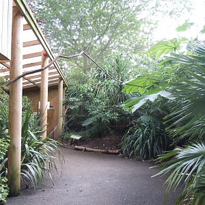 Gems of the Jungle 070920