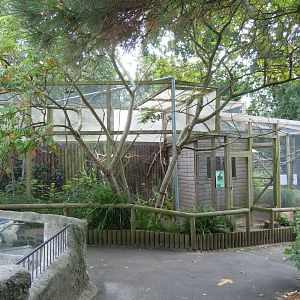 Aviaries 070920
