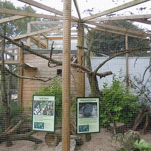 Swift parrot and Long-nosed potoroo enclosure 070920