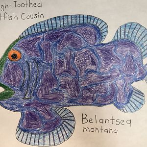 Belantsea montana