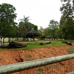 The big cerrado biome exhibit - Belo Horizonte zoo