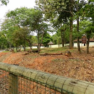 The big cerrado biome exhibit - Belo Horizonte zoo