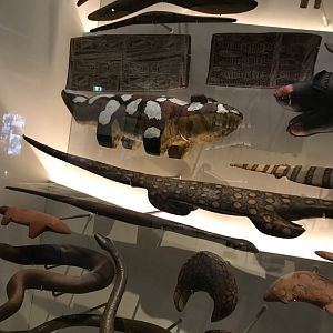Indigenous Australian Animal Artefacts