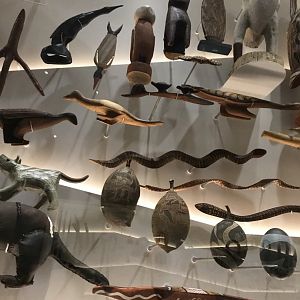 Indigenous Australian Animal Artefacts