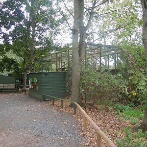 Jungle cat enclosure 100920
