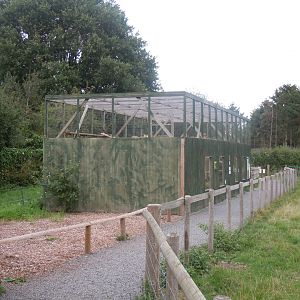 Bobcat enclosure 100920