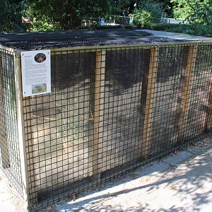Enclosure Harvest mouse