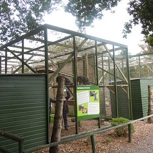 Binturong enclosure 100920