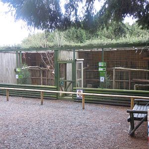 Owl aviaries 100920