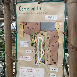 Elephants of the Asian Forest map 110920