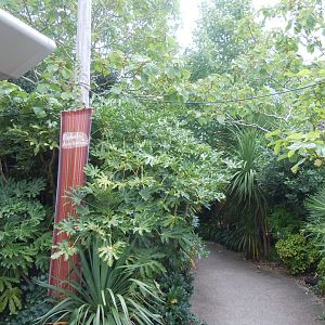 Elephants of the Asian Forest walkway to entrance 110920