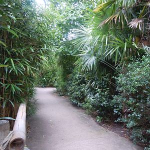 Walkway away from Elephants of the Asian Forest 110920