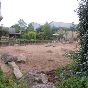 Asian elephant enclosure 110920