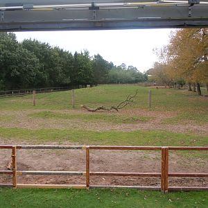 Indian rhinoceros and Myanmar thamin enclosure 110920