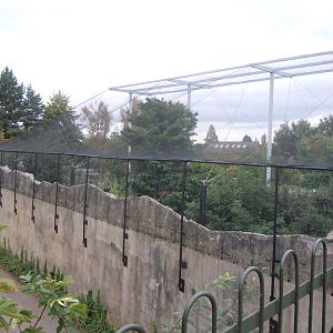 Edge of Europe aviary 110920