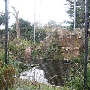 Edge of Europe aviary 110920