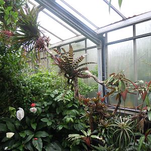 Butterfly World 110920