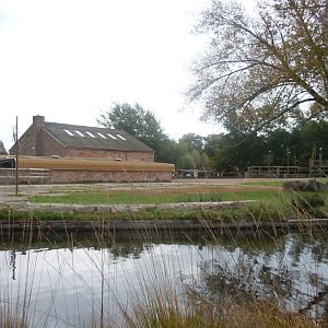 Giraffe outdoors 110920