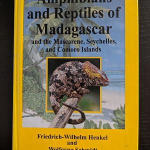 Amphibians and Reptiles of Madagascar and Mascarene, Seychelles, and Comoro Islands
