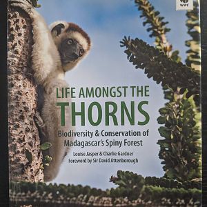 Life Amongst the Thorns: Biodiversity and Conservation of Madagascar's Spiny Forest