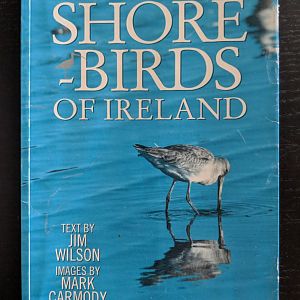 Shorebirds of Ireland