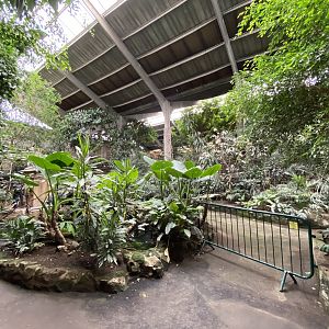 Tropical Realm 110920