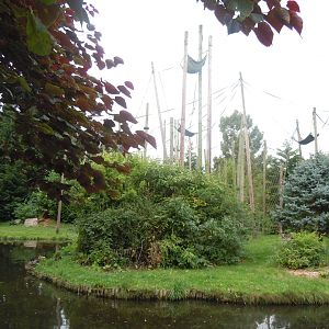 Chimpanzee exhibit 110920