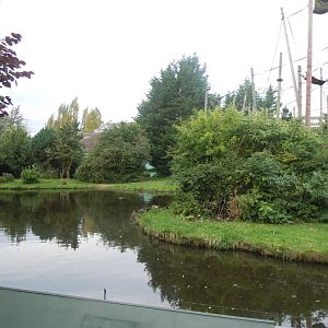 Chimpanzee exhibit 110920