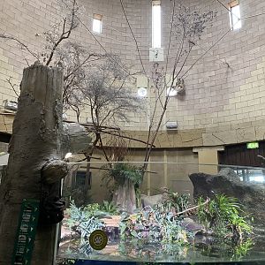 Spirit of the Jaguar - Sloth indoors and aquarium 110920