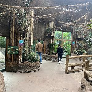 Spirit of the Jaguar indoors 110920