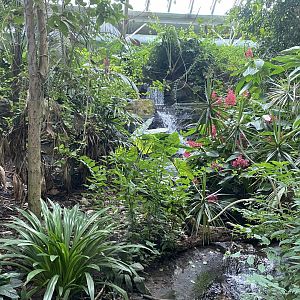 Spirit of the Jaguar - Jaguar indoors 110920