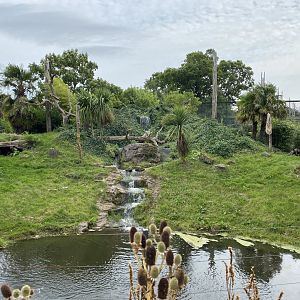 Spirit of the Jaguar - Jaguar outdoors 110920