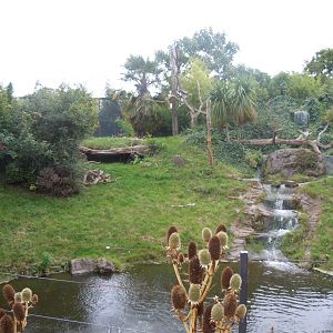 Spirit of the Jaguar - Jaguar outdoors 110920