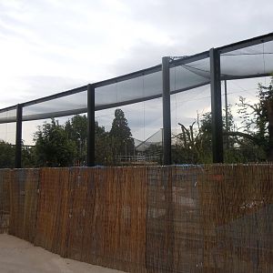 New flamingo/Roseate spoonbill/Scarlet ibis walkthrough aviary 110920