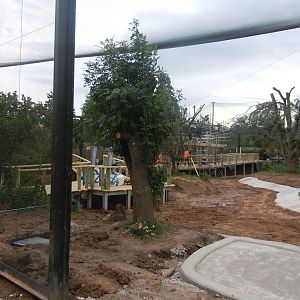 New flamingo/Roseate spoonbill/Scarlet ibis walkthrough aviary 110920