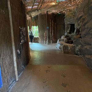 Dragons in Danger 110920