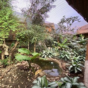 Dragons in Danger - Turtle exhibit 110920