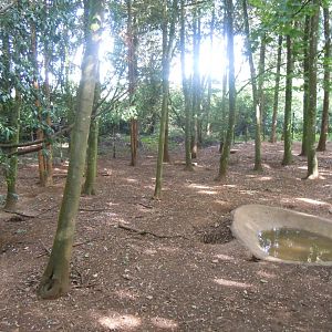 Wolverine enclosure 120920