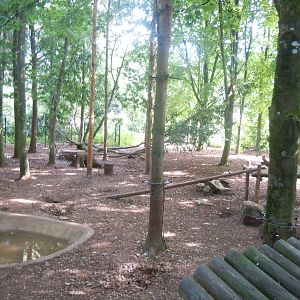 Wolverine enclosure 120920