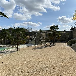 Walled Garden - Humboldt penguin enclosure 120920