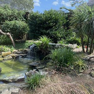 Walled Garden - Former walkthrough aviary 120920