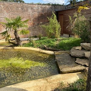 Walled Garden - Asian small-clawed otter enclosure 120920