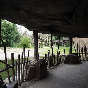 Bonobo island viewing area underneath the African village, 2020-07-14