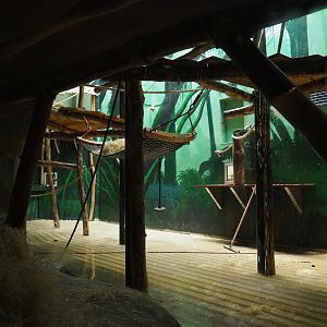 View into fourth bonobo indoor room from the cave underneath the African village, 2020-07-14