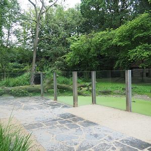 Viewing area Spotted hyena exhibit, 2020-07-14