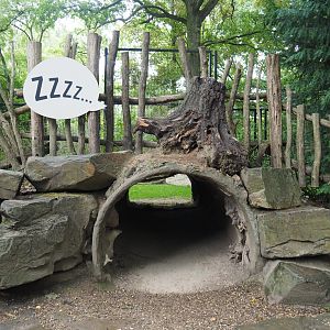 Spotted hyena den viewing area, 2020-07-14